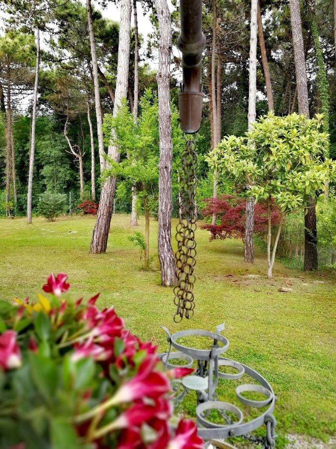 Hotel & Wellness Fra I Pini Линяно Сабиадоро Екстериор снимка